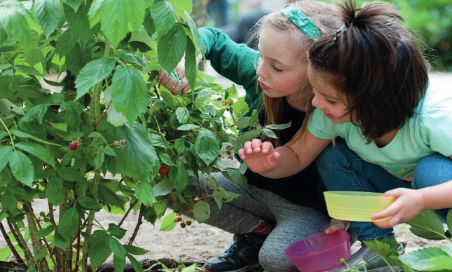 Op montessori IKC De Groene Ring ontdekken kinderen de natuur buiten